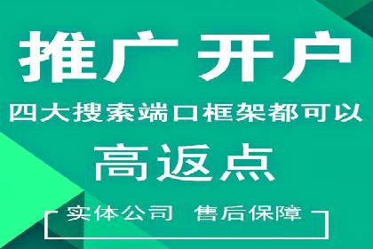 某企业通过百度广告实现品牌提升的历程